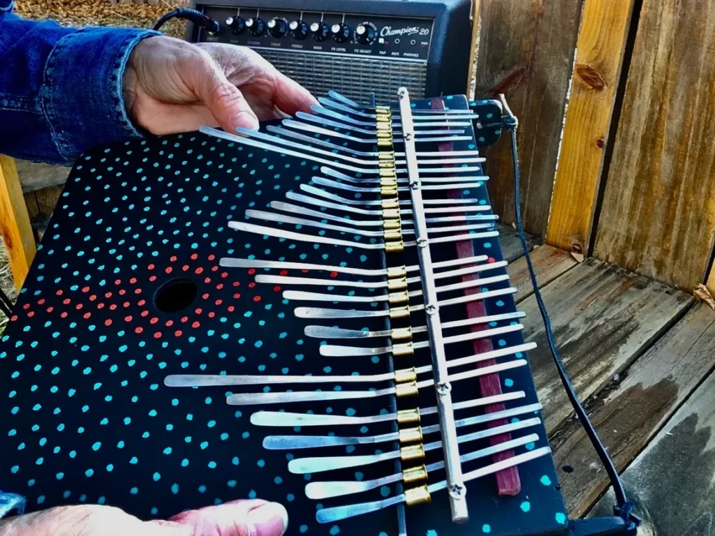 A man is holding a Kongoma, a musical instrument with a lot of strings.