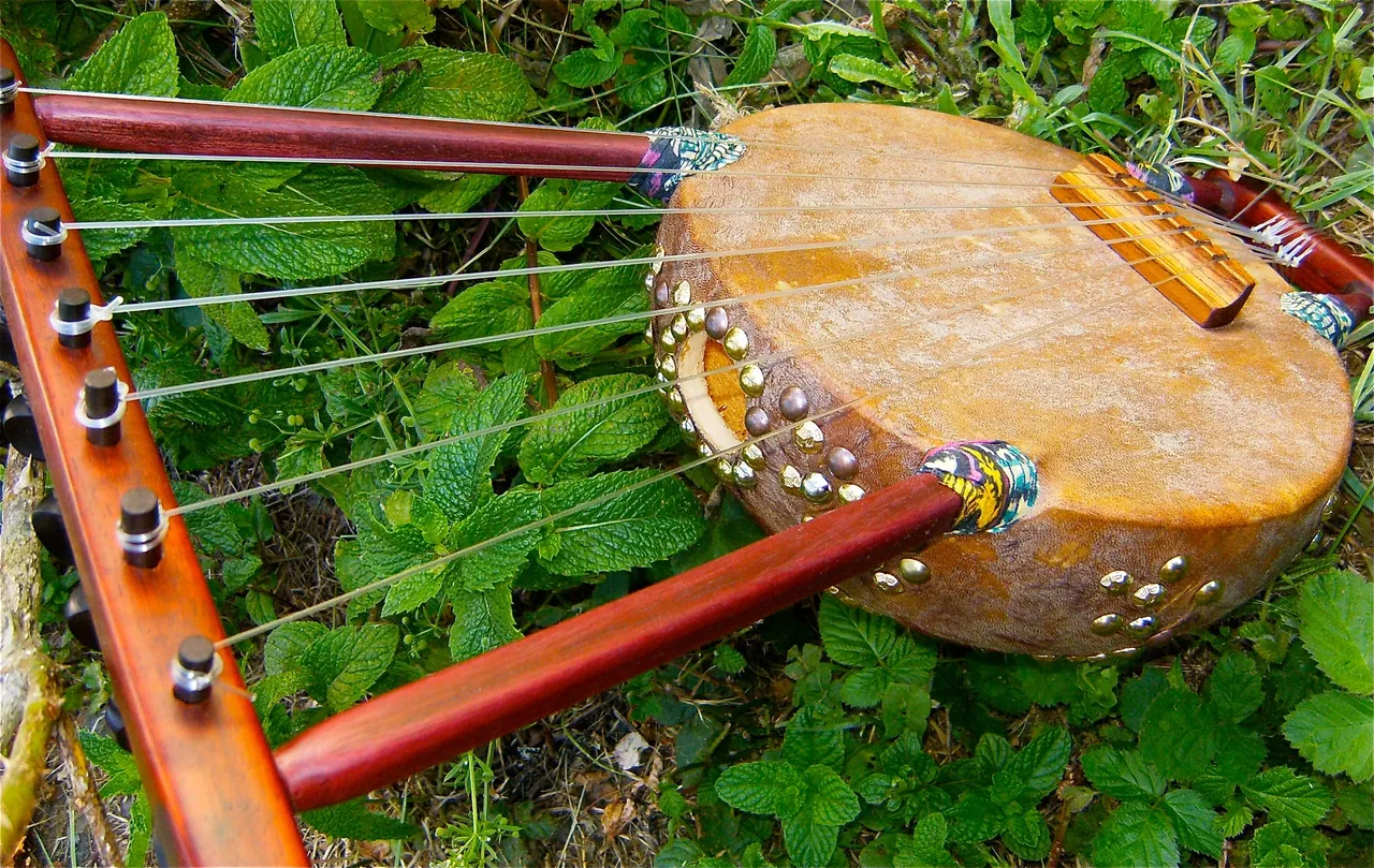 A wooden banjo, reminiscent of an African drum, resting peacefully in the grass.