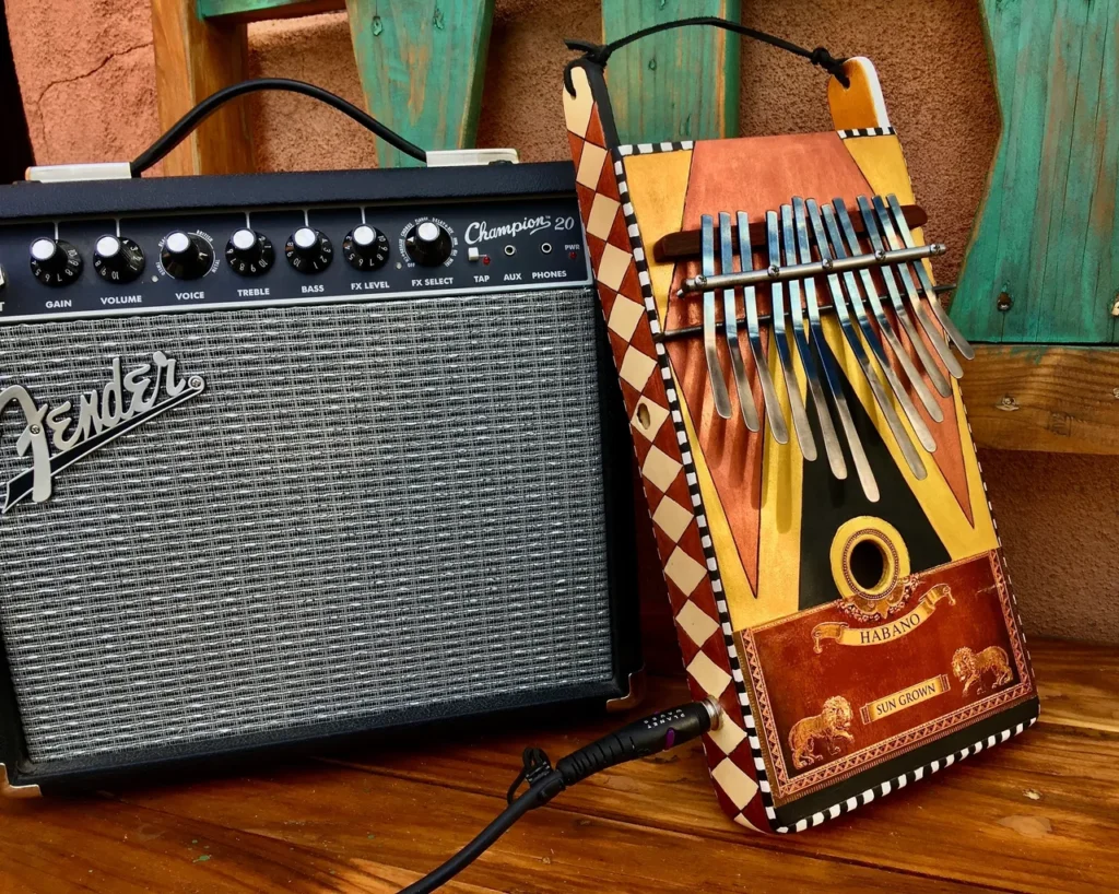 A guitar amplifier and an accordion on a wooden table, showcasing the harmonious blend of gourd instruments.