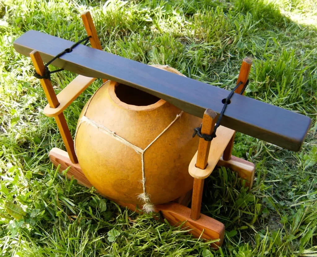 A wooden bowl with a wooden handle, resembling a gourd instrument or lamellaphone, sitting in the grass.