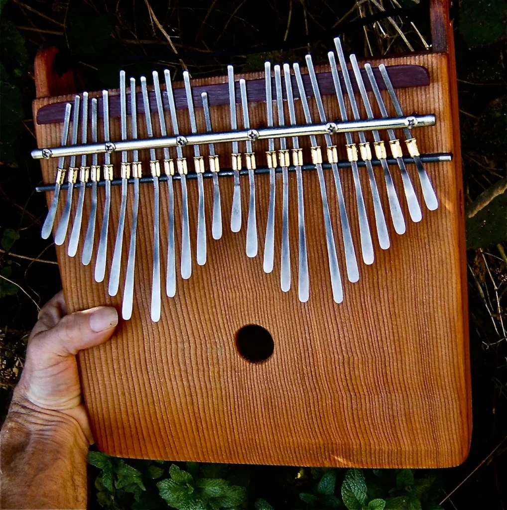 A person holding a Kongoma, a wooden instrument with a lot of tines.