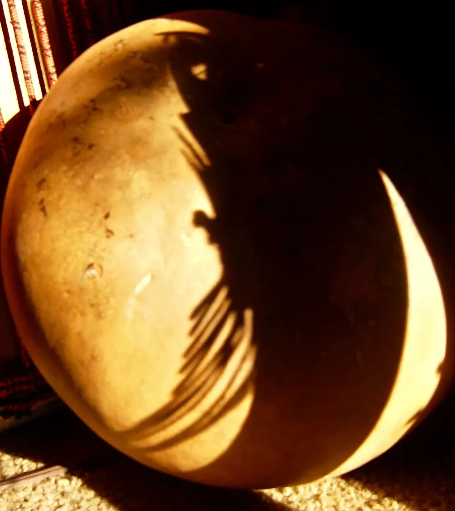 The shadow of a large pumpkin inspired by Ngoma.