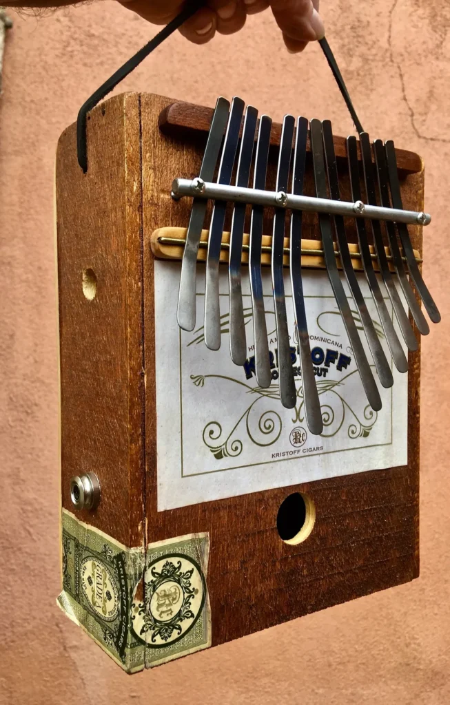 A person is displaying a Lamellaphone, an accordion-like instrument, housed in a wooden box.