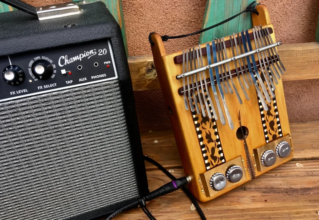 A gourd lamellaphone instrument next to a guitar amplifier.