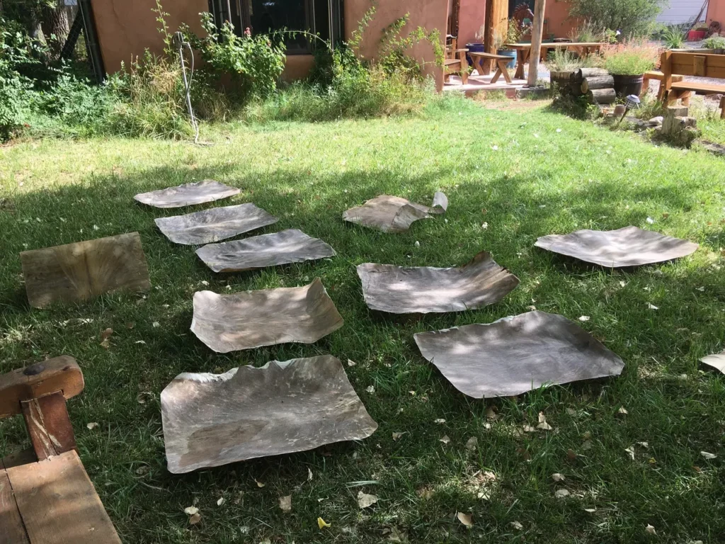 A group of plates sitting on the grass in front of a house.