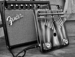 A black and white photo of an accordion and amp featuring a Kalimba.