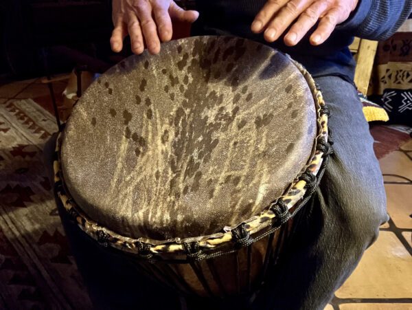 Iroko Wood Djembe'